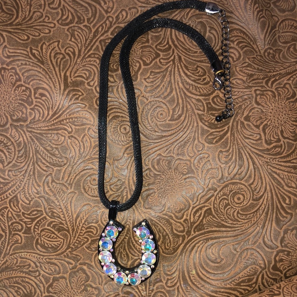 Multi colored horseshoe necklace